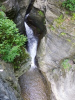 IMG 3856